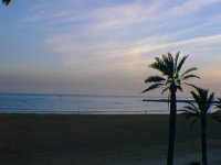 Playa de la Barceloneta. Barcelona. España