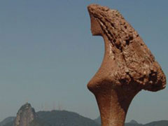 La guanabara, el símbolo de Rio de Janeiro