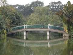 Puente en el parque
