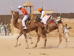 Polo en camello
