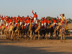 Acrobacias en camello
