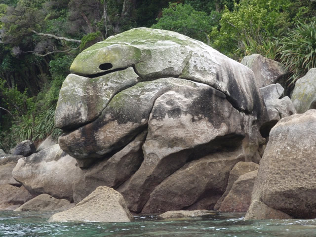 Roca en forma de cabeza de tortuga